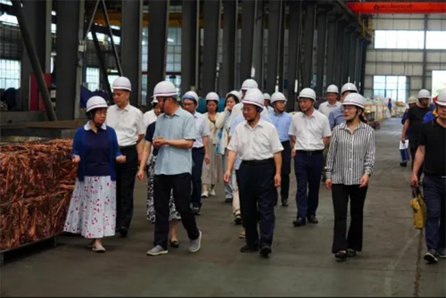 全国人大环境与资源保护委员会副主任委员吕忠梅一行莅临狗子28新材调研座谈